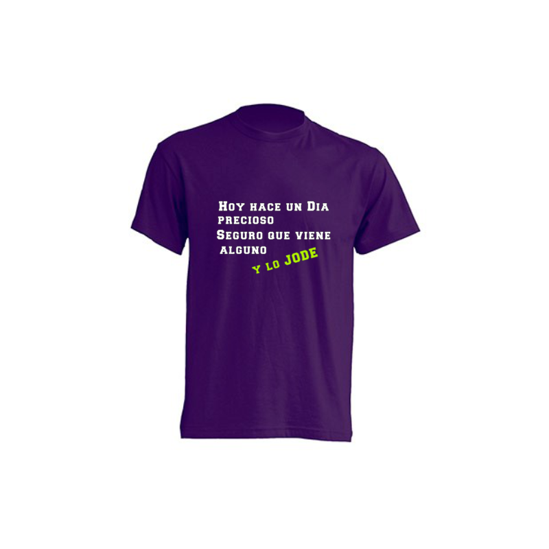 Camisetas Originales - Hoy hace un día Precioso